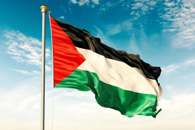 Children's Books with Palestinan Representation