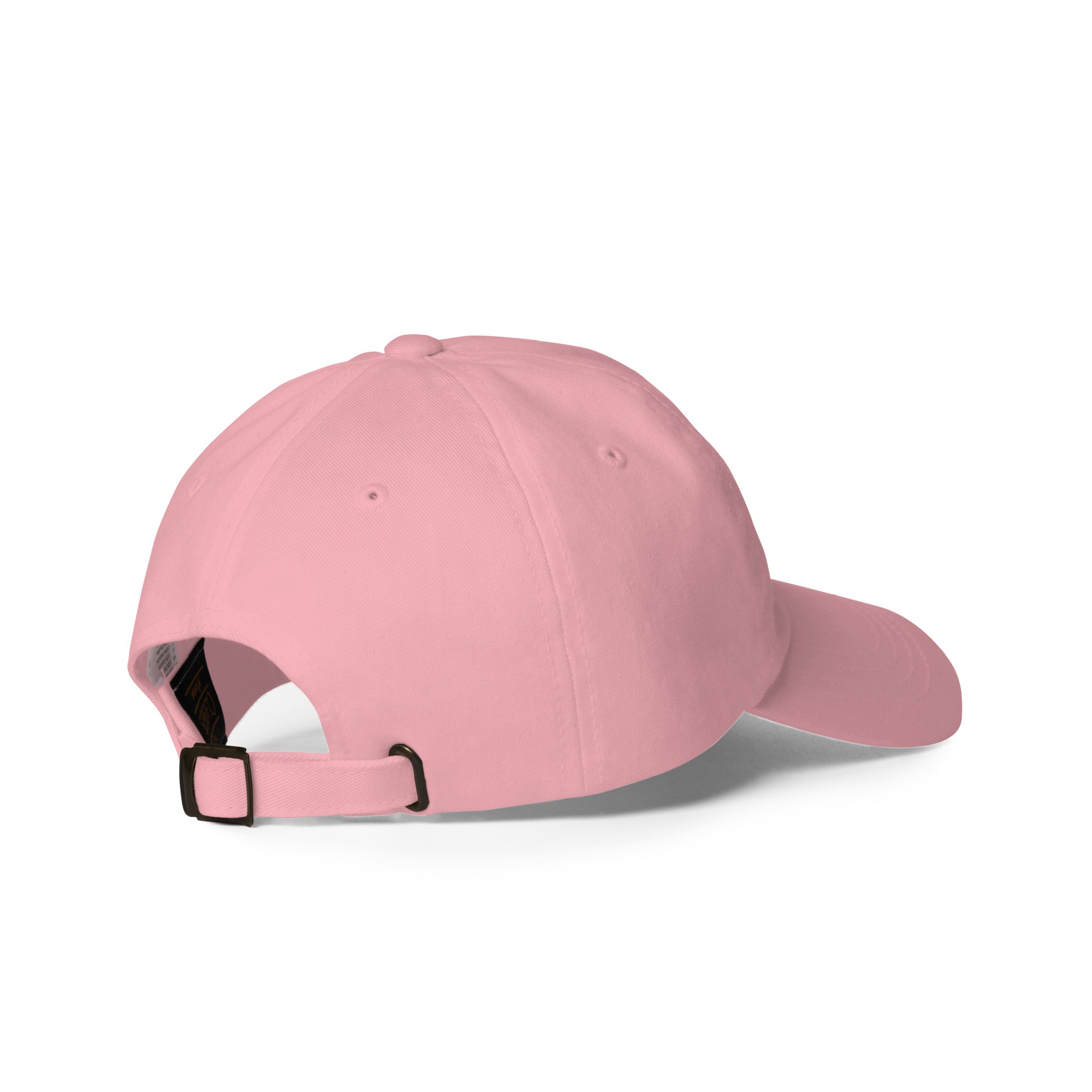 Embrace Equity Baseball Hat