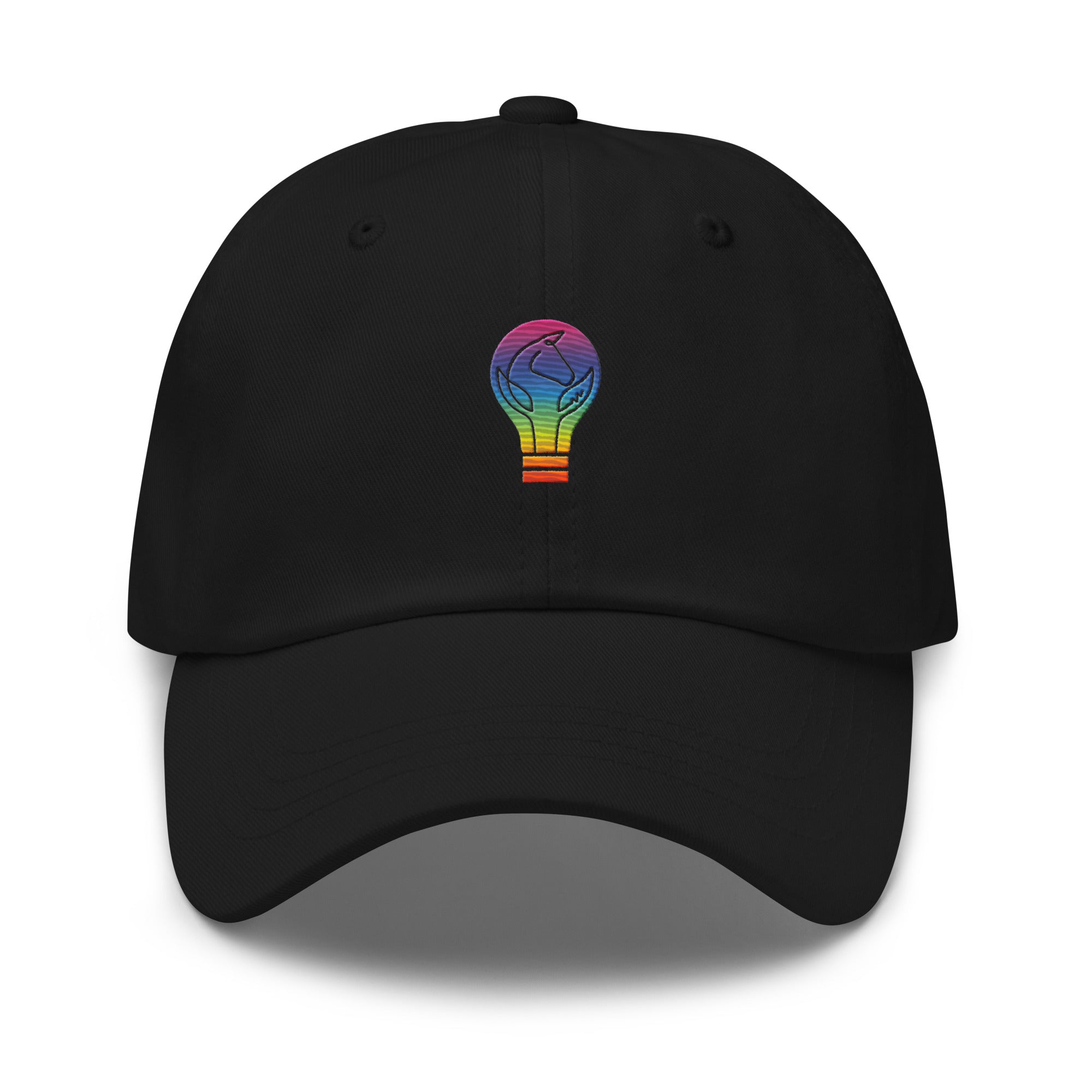 IDEAS Baseball Hat